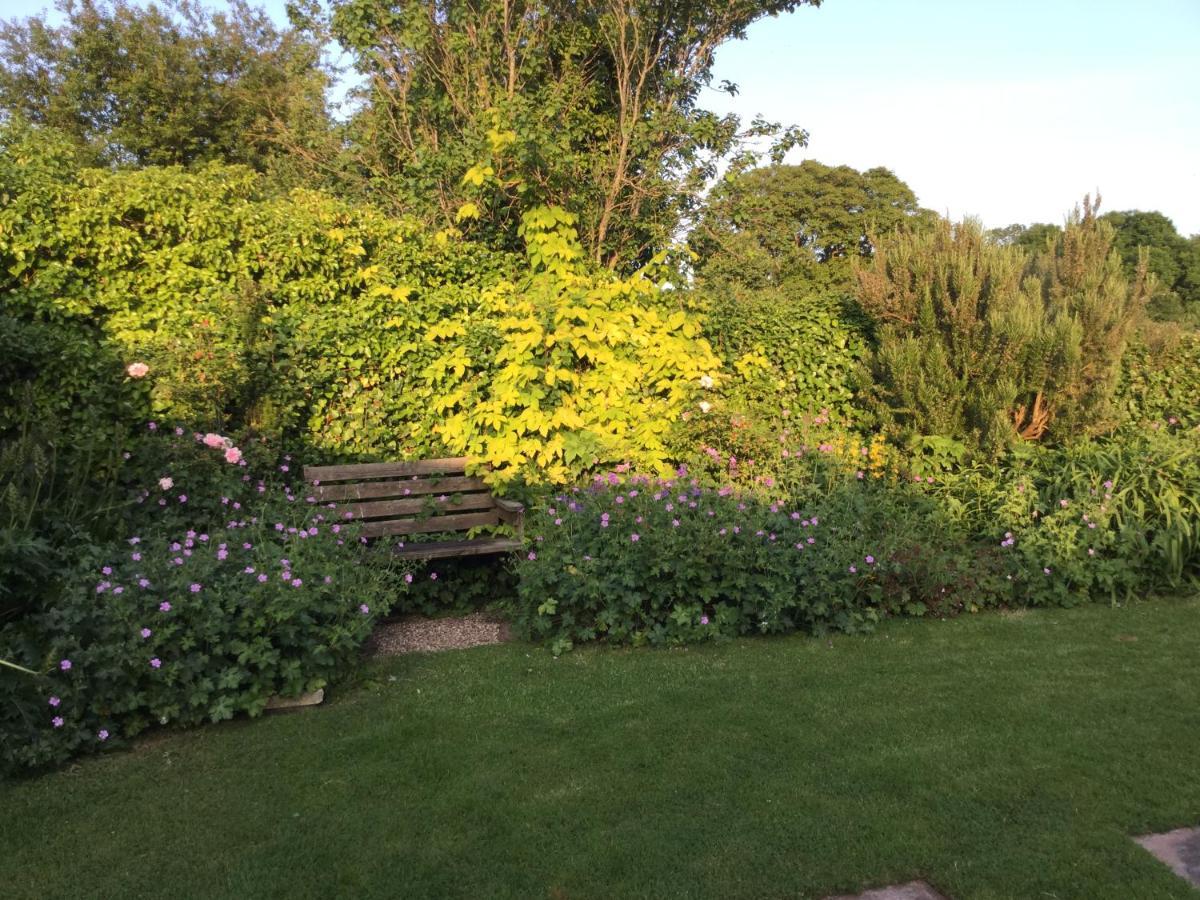 Steps Farmhouse B&B Minehead Exterior foto
