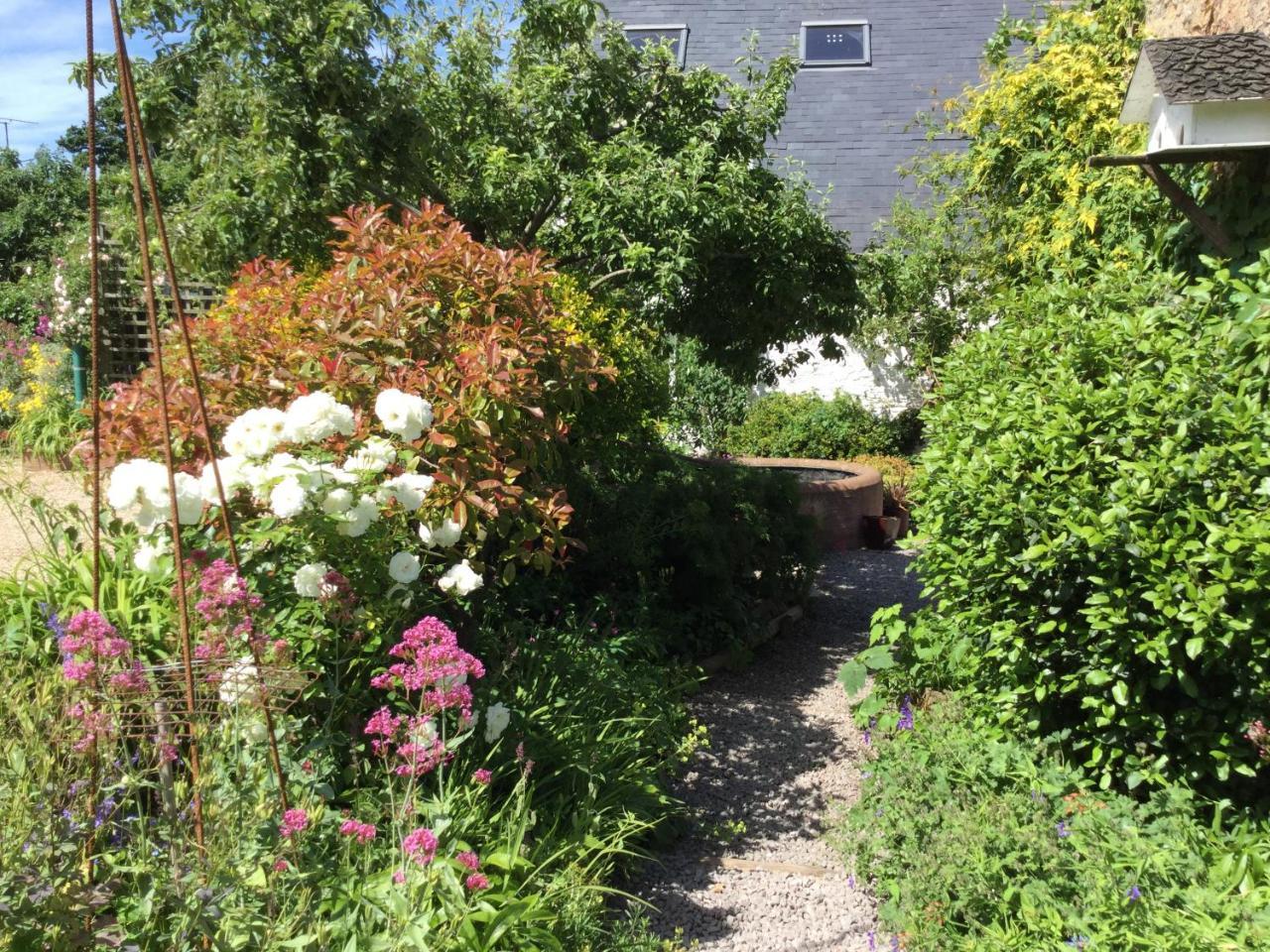 Steps Farmhouse B&B Minehead Exterior foto